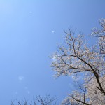 2018/4/12東京都民による福島県民のための福島桜ツーリングその2　再会からの滝桜