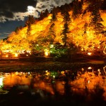 そうだ仕事のついでに（←ココ大事）京都に行こう　その3　1年越しの香嵐渓のライトアップ